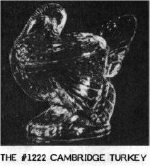 Cambridge Turkey